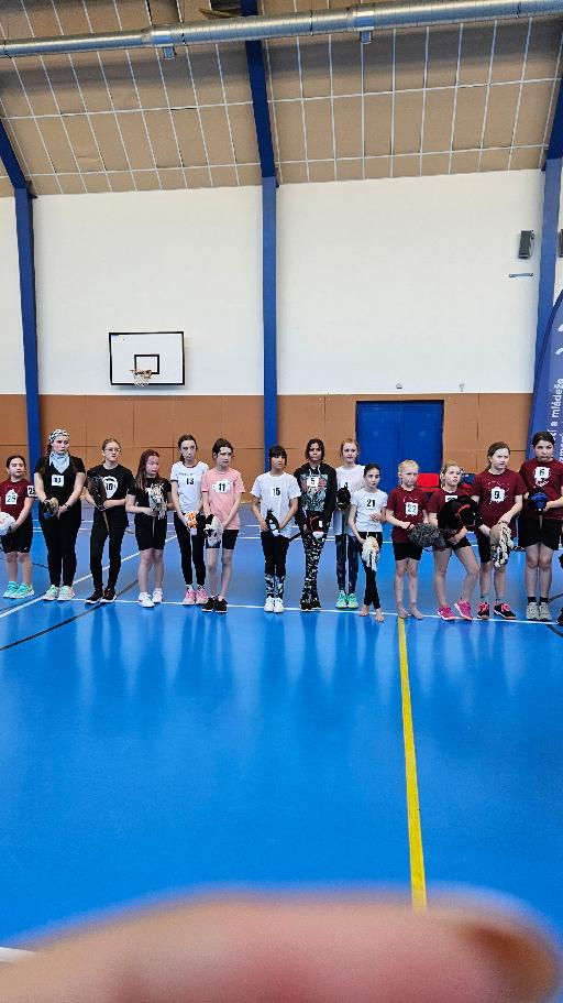 stažený_soubor_(0).jfif