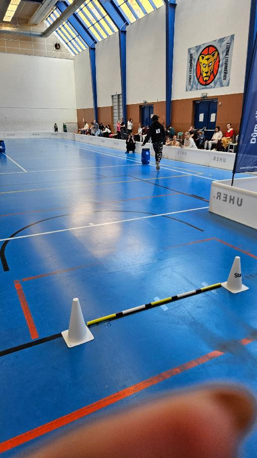 stažený_soubor_(2).jfif