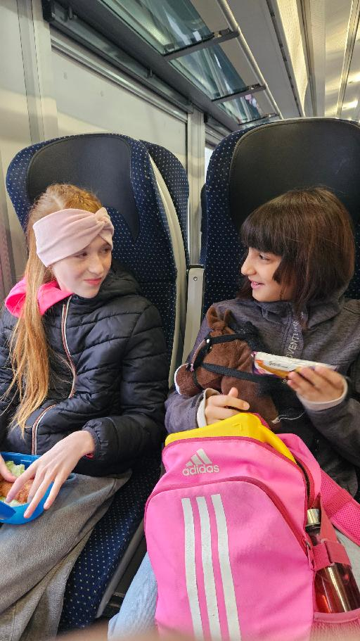 stažený_soubor_(1).jfif