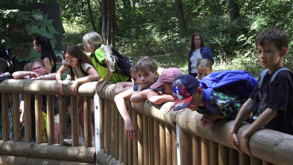 DDM_příměstský_tábor_školáci_ZOOPARK_Chmonutov_21_6_2026_16.jpg