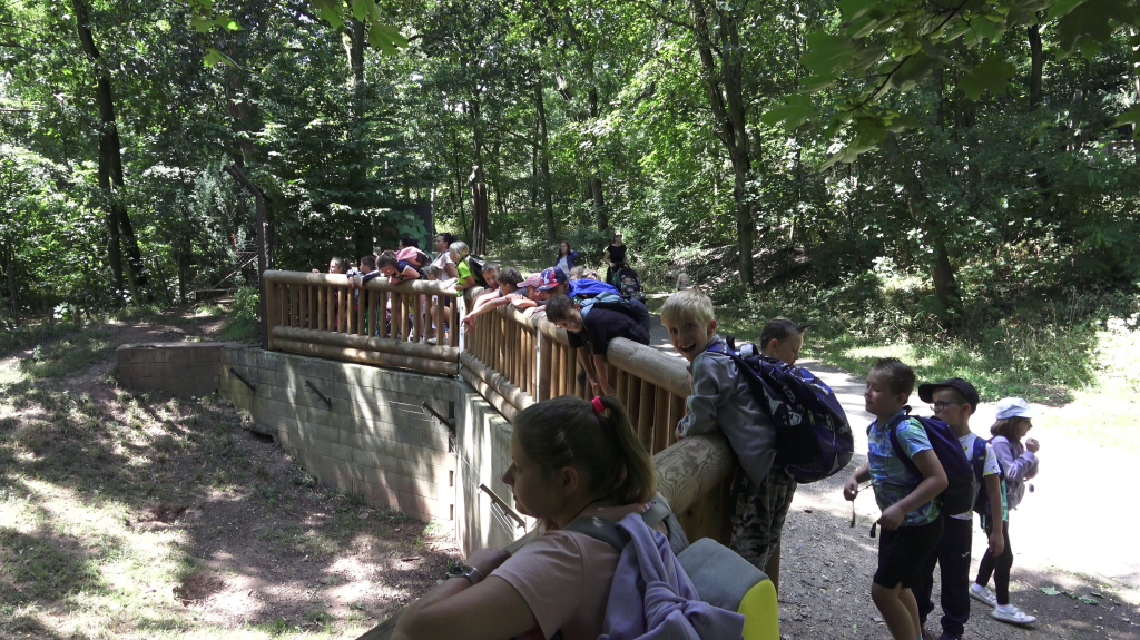 DDM_příměstský_tábor_školáci_ZOOPARK_Chmonutov_21_6_2026_15.jpg