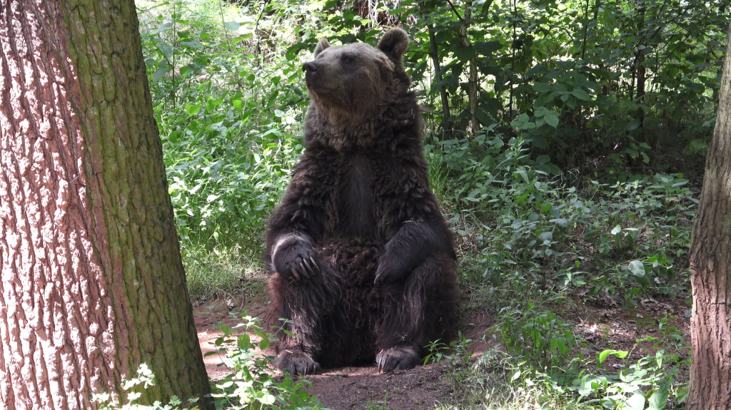DDM_příměstský_tábor_školáci_ZOOPARK_Chmonutov_21_6_2026_21.jpg