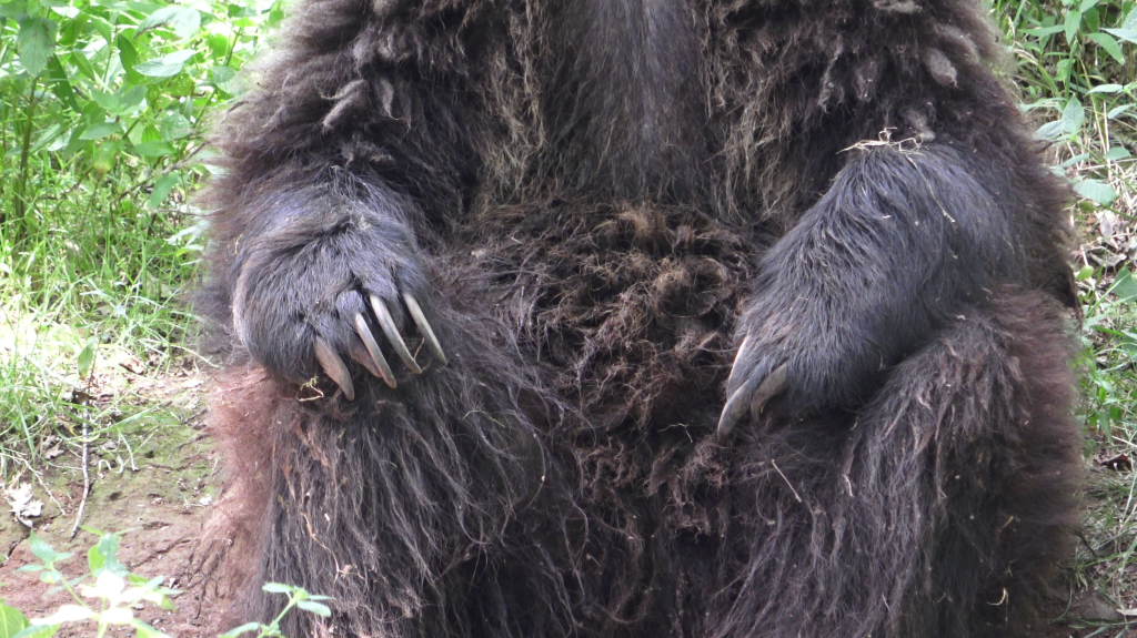 DDM_příměstský_tábor_školáci_ZOOPARK_Chmonutov_21_6_2026_22.jpg