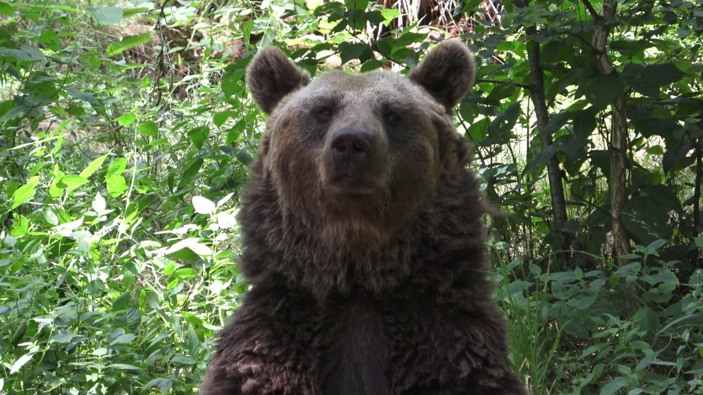 DDM_příměstský_tábor_školáci_ZOOPARK_Chmonutov_21_6_2026_24.jpg