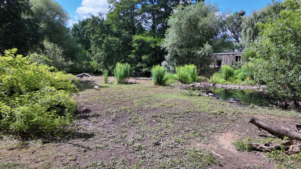 DDM_příměstský_tábor_školáci_ZOOPARK_Chmonutov_21_6_2026_38.jpg
