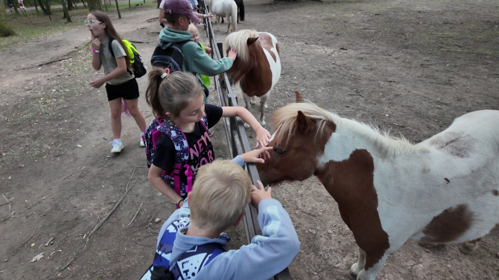 DDM_příměstský_tábor_školáci_ZOOPARK_Chmonutov_21_6_2026_41.jpg
