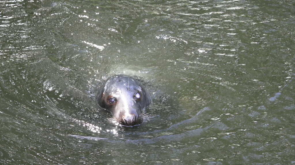DDM_příměstský_tábor_školáci_ZOOPARK_Chmonutov_21_6_2026_32.jpg