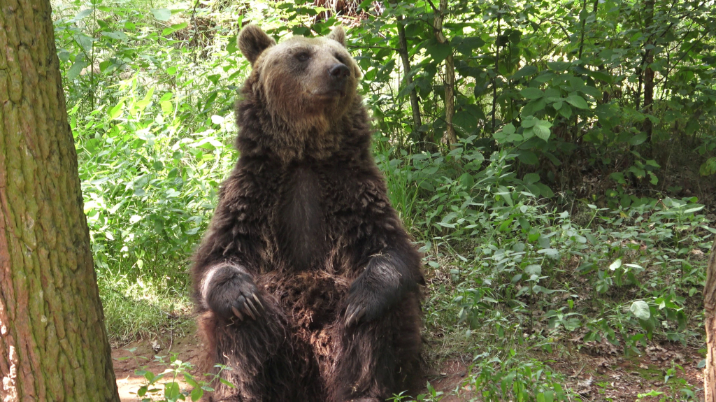 DDM_příměstský_tábor_školáci_ZOOPARK_Chmonutov_21_6_2026_18.jpg
