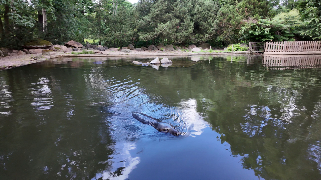 DDM_příměstský_tábor_školáci_ZOOPARK_Chmonutov_21_6_2026_40.jpg