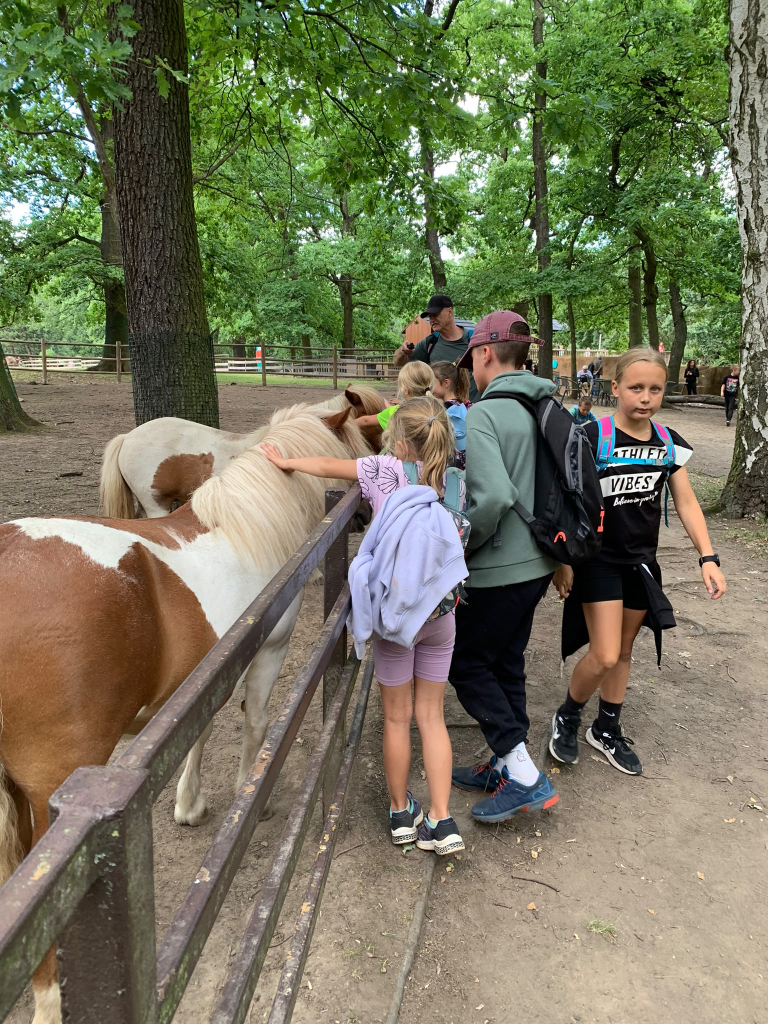 DDM_příměstský_tábor_Zoopark_Chomutov_Iphone_21_7_2026_A_12.jpg