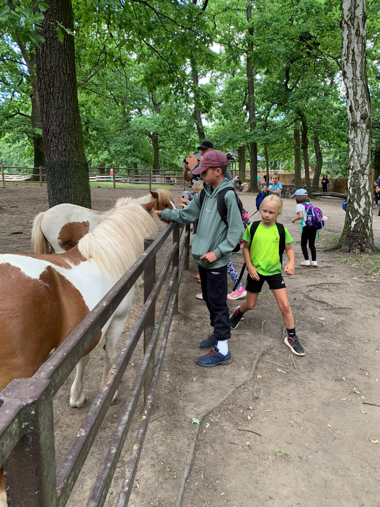 DDM_příměstský_tábor_Zoopark_Chomutov_Iphone_21_7_2026_A_13.jpg