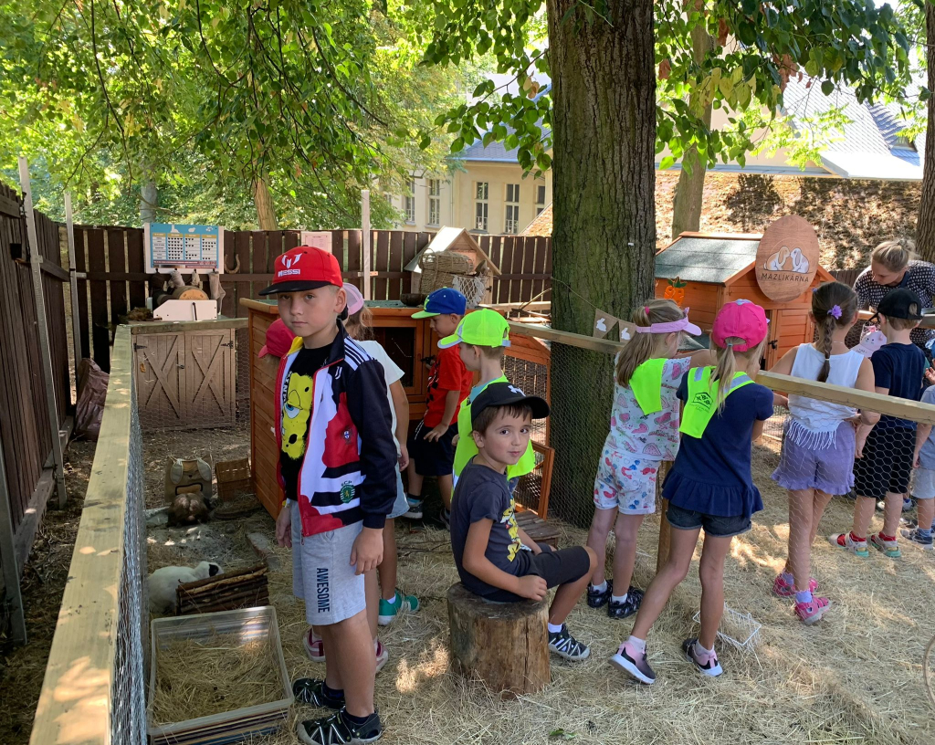 17c321ad-8d66-4f70-a952-d52019221f50.jpg