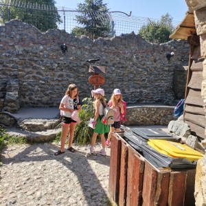 IMG_20230718_100641.jpg