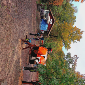 IMG-20231028-WA0032.jpg