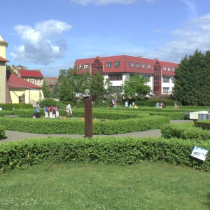 DDM_Kapucínská_zahrada_pro_školky_27_5_2025_34.jpg