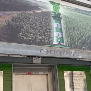 DDM_příměstský_tábor_úterý_chmel_maják_22_7_2025_09.jpg