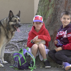 DDM_Zoopark_Chomutov_příměstský_tábor_školáci_20_8_2025_02.jpg