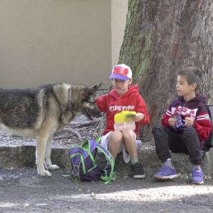 DDM_Zoopark_Chomutov_příměstský_tábor_školáci_20_8_2025_01.jpg