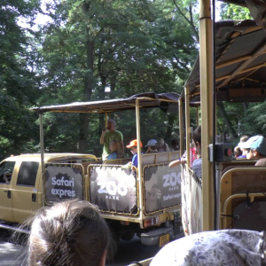 DDM_Zoopark_Chomutov_příměstský_tábor_školáci_20_8_2025_14.jpg