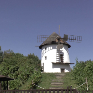 DDM_Zoopark_Chomutov_příměstský_tábor_školáci_20_8_2025_18.jpg