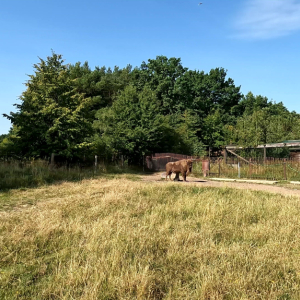 DDM_Zoopark_Chomutov_příměstský_tábor_školáci_20_8_2025_31.jpg