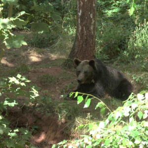 DDM_Zoopark_Chomutov_příměstský_tábor_školáci_20_8_2025_43.jpg