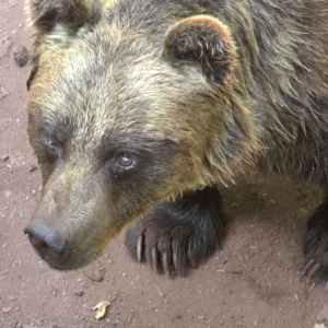 DDM_Zoopark_Chomutov_příměstský_tábor_školáci_20_8_2025_44.jpg