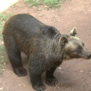 DDM_Zoopark_Chomutov_příměstský_tábor_školáci_20_8_2025_45.jpg