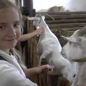 DDM_Zoopark_Chomutov_příměstský_tábor_školáci_20_8_2025_53.jpg