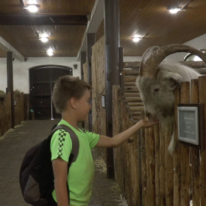 DDM_Zoopark_Chomutov_příměstský_tábor_školáci_20_8_2025_65.jpg