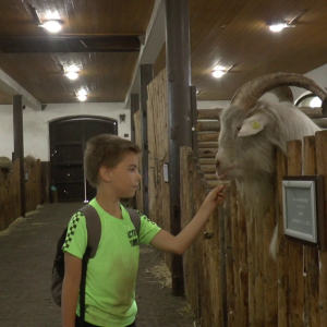 DDM_Zoopark_Chomutov_příměstský_tábor_školáci_20_8_2025_66.jpg