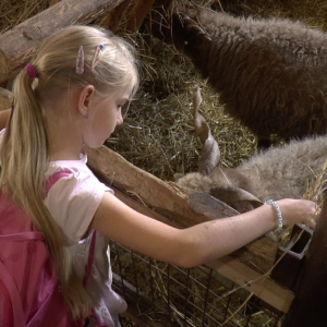 DDM_Zoopark_Chomutov_příměstský_tábor_školáci_20_8_2025_67.jpg