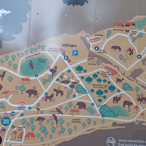 DDM_Zoopark_Chomutov_příměstský_tábor_školáci_20_8_2025_a_03.jpg