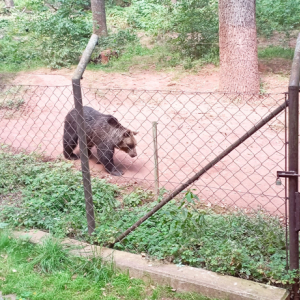 DDM_Zoopark_Chomutov_příměstský_tábor_školáci_20_8_2025_a_07.jpg