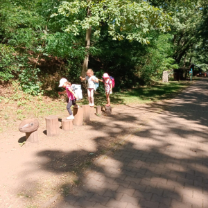 IMG-20250825-WA0006.jpg