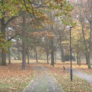 Uspávání skřítků pro MŠ (5.11.2025)