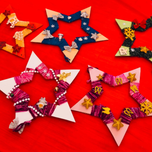 Výukový program - Vánoční hvězda (24.11.2025)