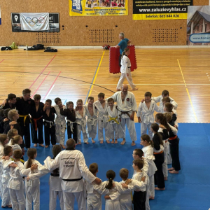 Seminář Allkampf jitsu (20.6.2026)