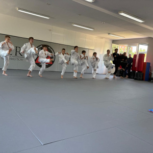 Zkoušky Allkampf jitsu (21.6.2026)